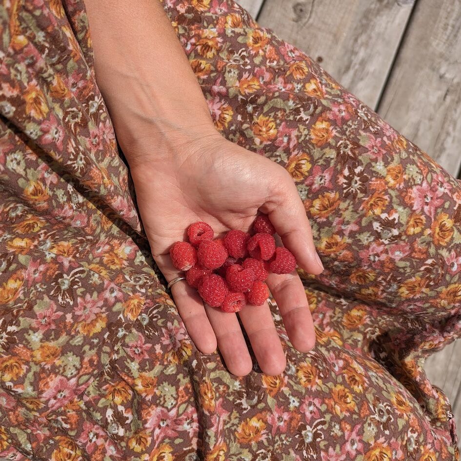 Beautiful Edible Perennials To Use In Your MN Landscaping