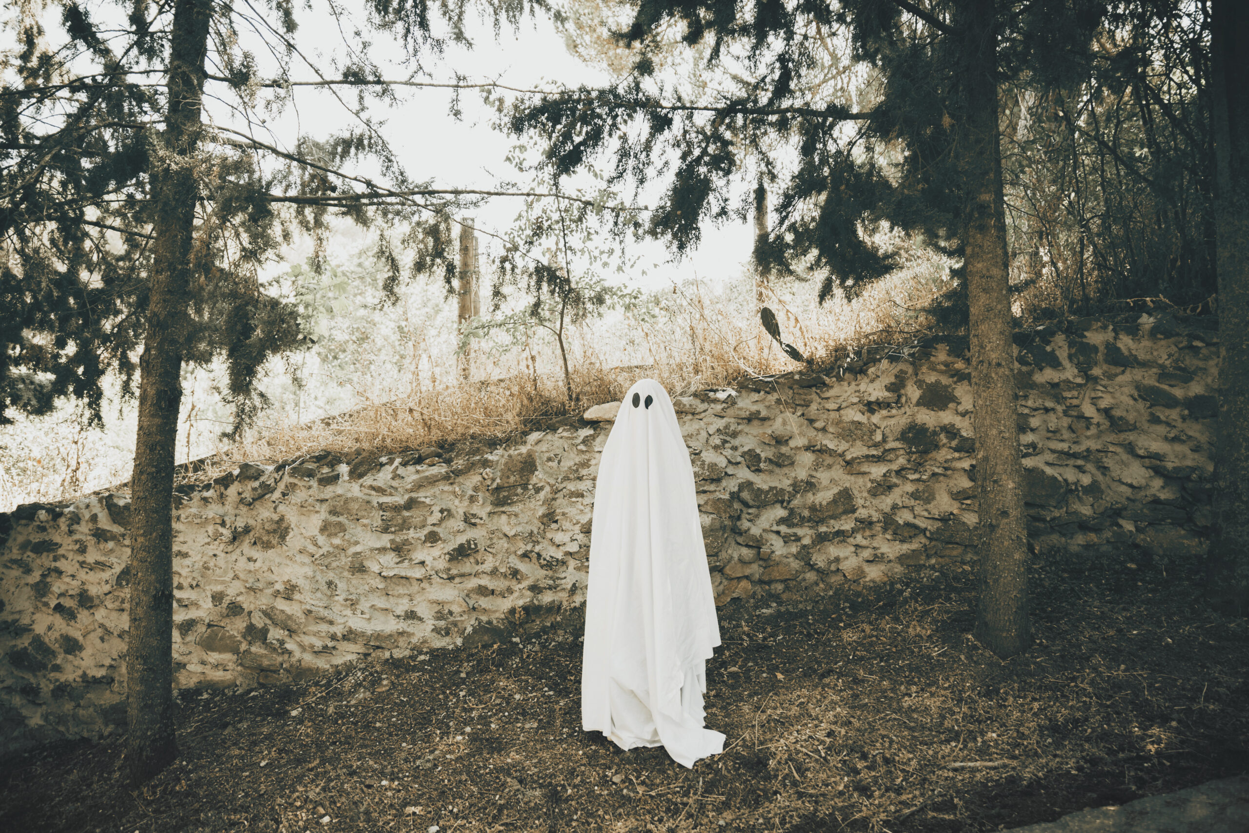 A ghost standing in a lightly wooded area